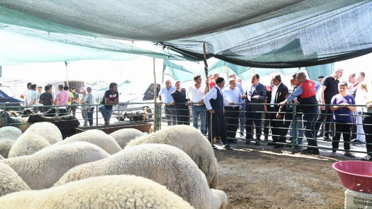 Başkan Gürkan canlı hayvan pazarında