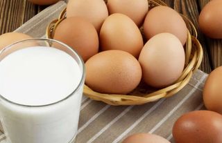 Türkiye'de Yumurta Üretimi Artarken İçme Sütü Üretimi Azaldı