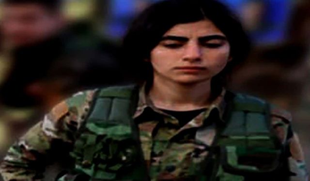 MİT PKK'nın Üst Düzey Kadın Sorumlusunu Etkisiz Hale Getirdi