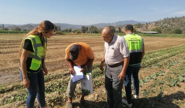 Milas'ta tarımsal üretimi desteğe devam